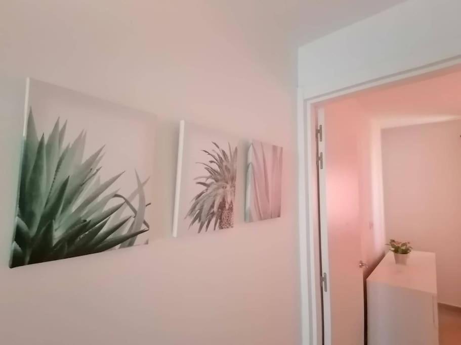 Apartment Casa Mar